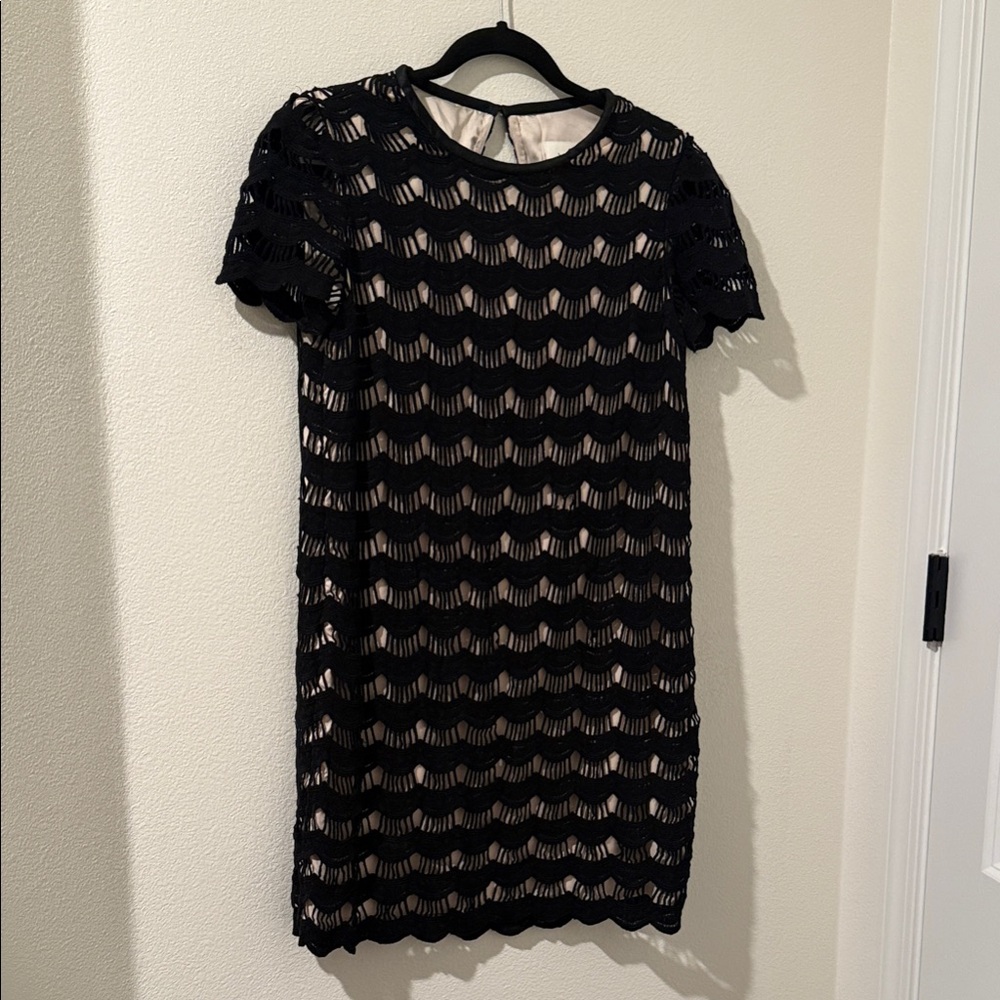 Elegant Black Lace Overlay Dress